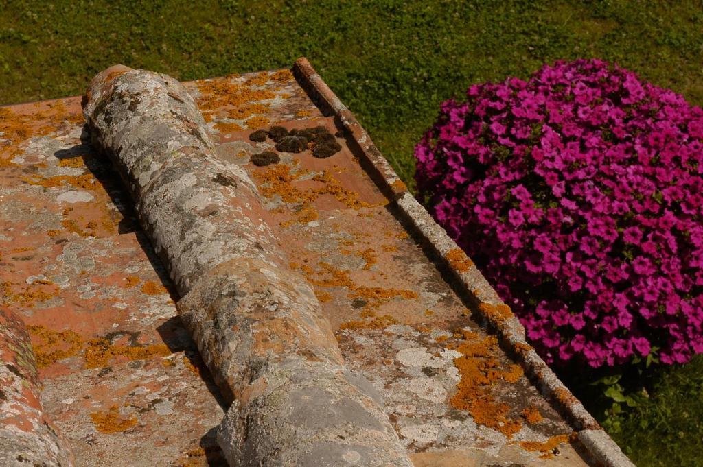 Bed & Breakfast Antico Casale San Lorenzo Ponte A Bozzone Exterior foto